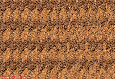 Ini Sebenarnya Gambar Apaan sih Gan ?