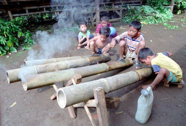 Mengenang Masa Kecil Yuk