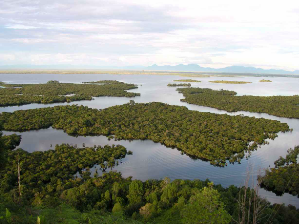 Danau sentarum serasa gurun pasir