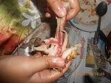 Tips Membeli Ayam Yang Masih Segar &amp; Halal