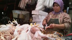 Tips Membeli Ayam Yang Masih Segar &amp; Halal