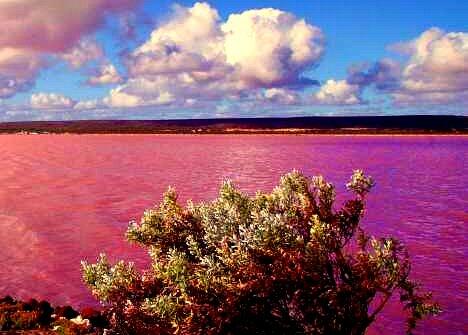 6 Danau dengan kondisi alam paling unik