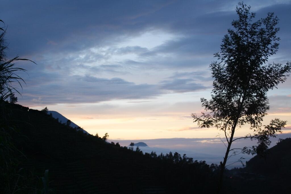 Catatan Perjalanan Gunung Prau 2.565 mdpl