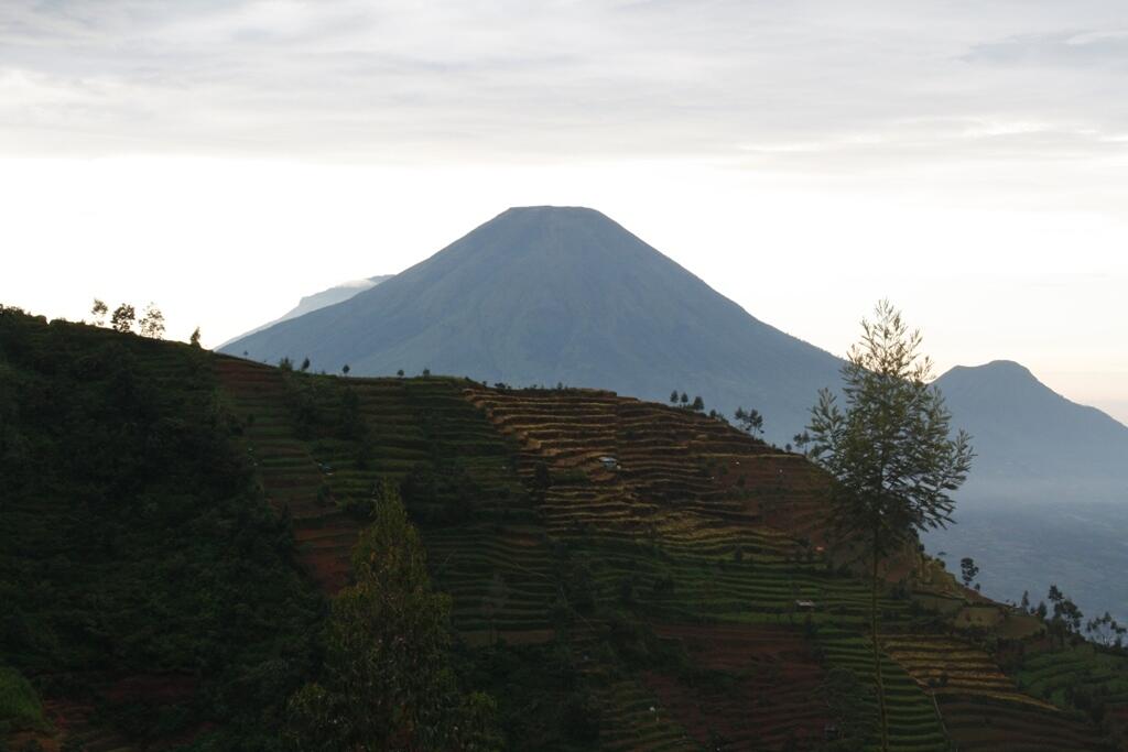 Catatan Perjalanan Gunung Prau 2.565 mdpl