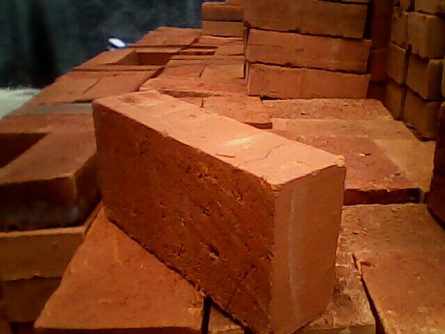 Beberapa Hoax Seputar Binatang