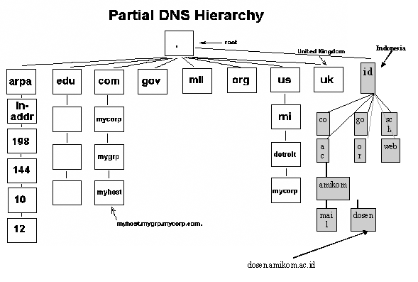 Sejarah Singkat dan Fakta-Fakta Website