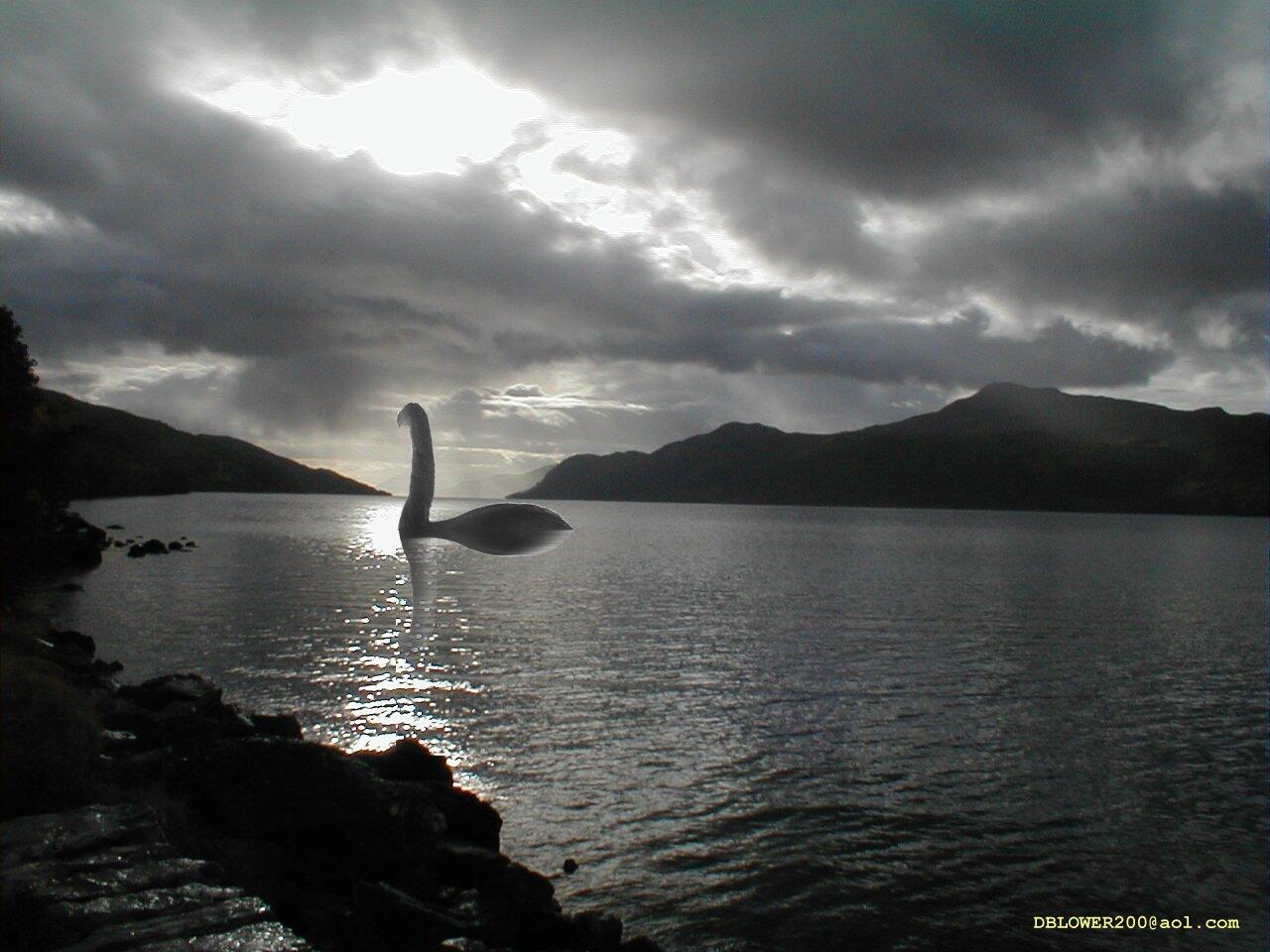 Beberapa Hoax Seputar Binatang