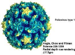 Virus paling berbahaya di dunia