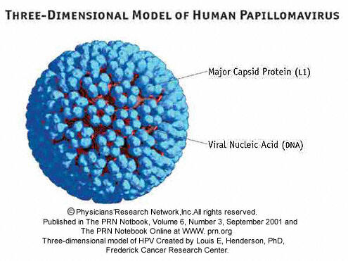 Virus paling berbahaya di dunia