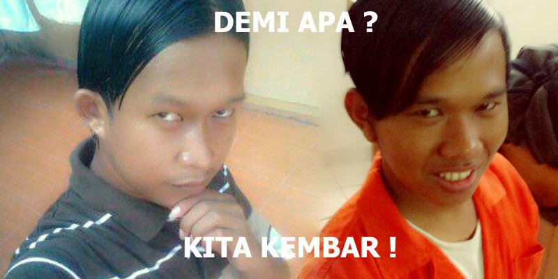 temen ane kembar