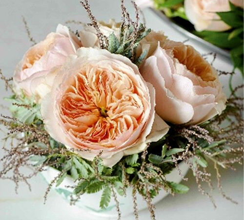 Bunga Termahal di Dunia