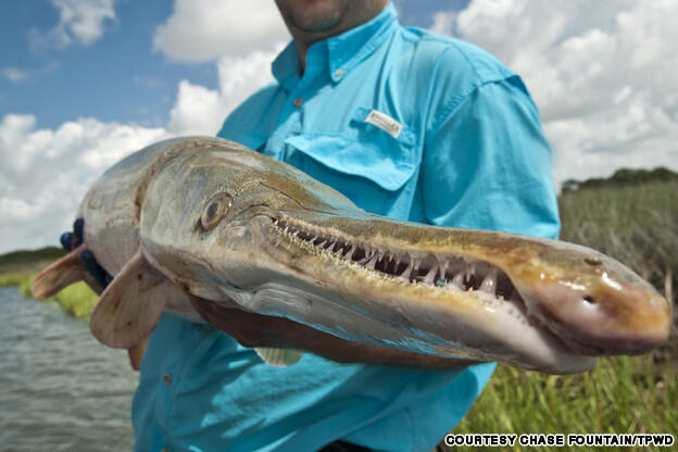 &quot;Jeremy Wade&quot; traveler, TV presenter, pemancing gila.