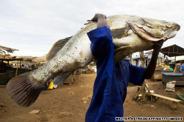 &quot;Jeremy Wade&quot; traveler, TV presenter, pemancing gila.