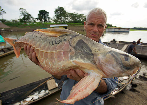 &quot;Jeremy Wade&quot; traveler, TV presenter, pemancing gila.