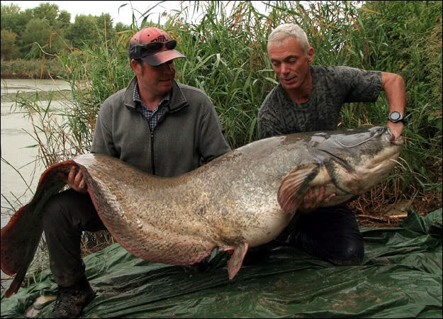 &quot;Jeremy Wade&quot; traveler, TV presenter, pemancing gila.