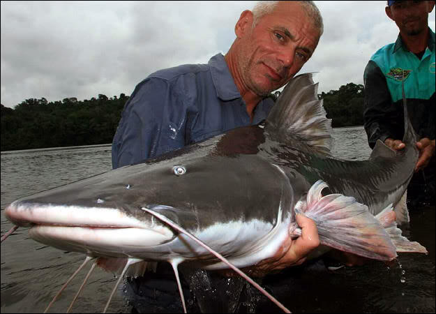 &quot;Jeremy Wade&quot; traveler, TV presenter, pemancing gila.