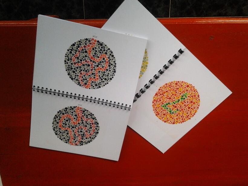 ******** Buku Ishihara*****Buku Test Buta Warna*****termurah****kualitas 95% asli