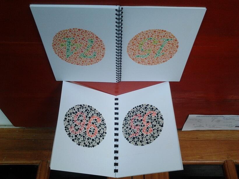 ******** Buku Ishihara*****Buku Test Buta Warna*****termurah****kualitas 95% asli