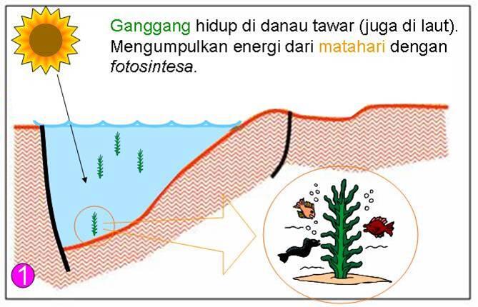 betapa sulitnya proses terbentuknya minyak bumi (thread pertama ane)