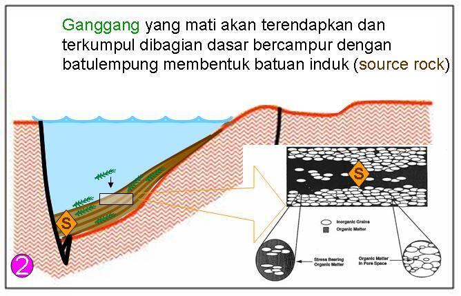 betapa sulitnya proses terbentuknya minyak bumi (thread pertama ane)