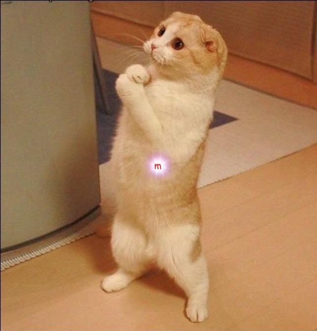 Please Sir
