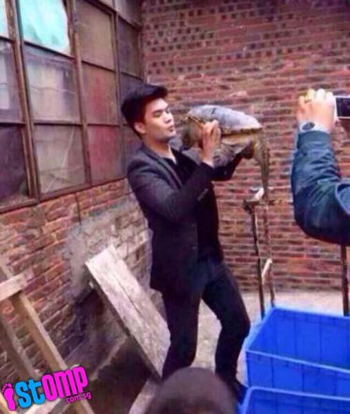 French Kiss sama kura-kura