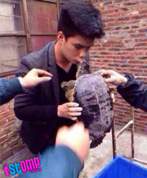 French Kiss sama kura-kura