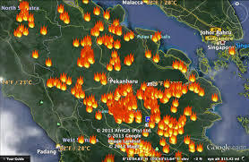 INI LAH PENYEBAB KEBAKARAN HUTAN