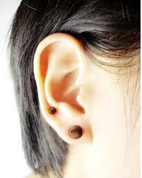 Anting unik ini bikin kuping agan bolong tapi nggak bolong