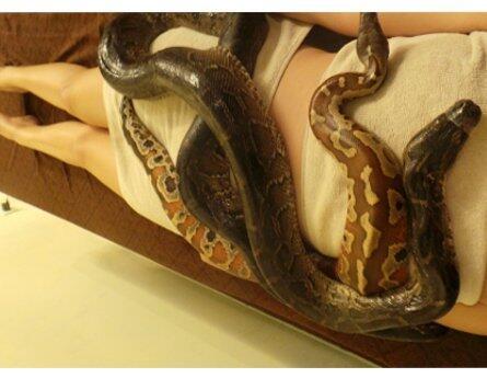 Treatment Animal Beauty, Berani nyoba Gak Gan ??