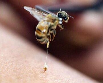 Treatment Animal Beauty, Berani nyoba Gak Gan ??