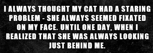 HOT !! Two-Sentence Horror Stories. creepy as shit