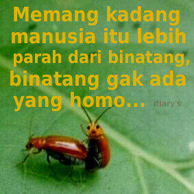 antara manusia dan binatang