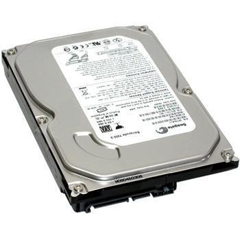 Hardisk PC 3.5" Seagate 250GB