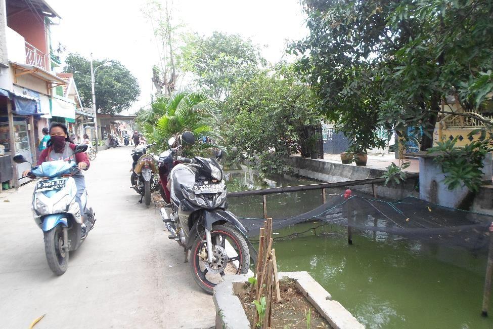 keren gan,sungai kali dijakarta ini disulap jadi empang oleh warga