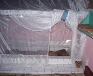 Misteri 5 Situs Keramat di Bekasi