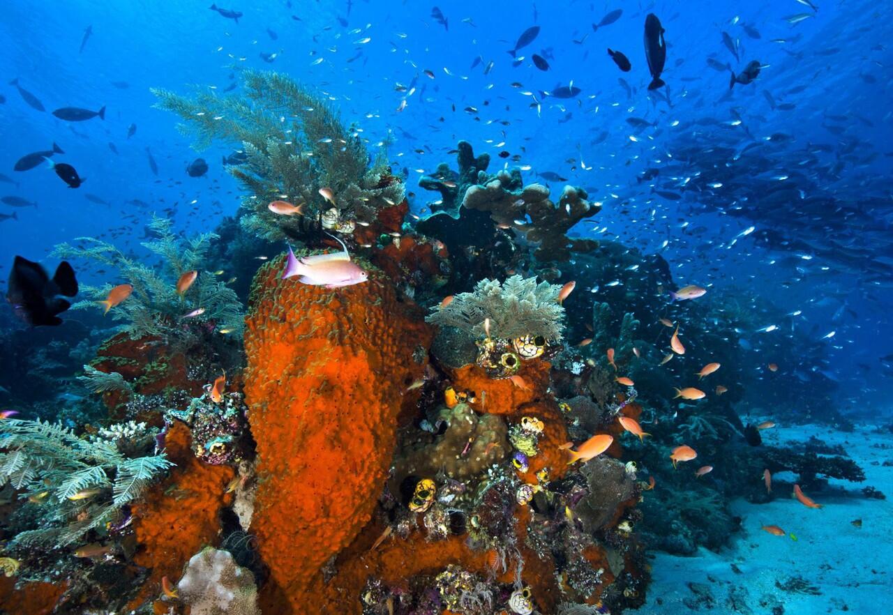 Keindahan wilayah paling ujung Indonesia