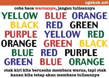 Kumpulan gambar gambar lucu versi ane