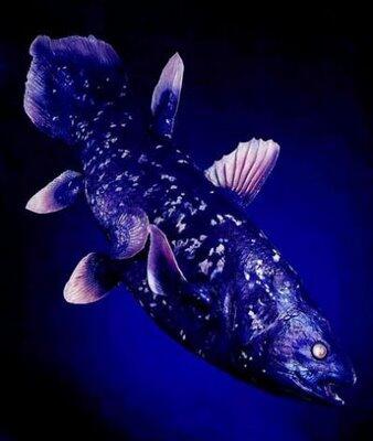 Ikan-ikan teraneh dan terbesar