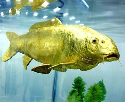 Ikan-ikan teraneh dan terbesar