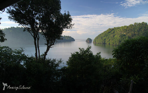 Selat Lembeh, One of The Greatest Dive Sites in The World