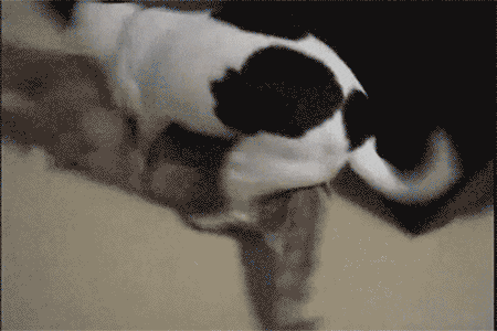 &#91;Jokes&#93;Colay itu Sehat gan? (With GIF- Bandwith Killer)