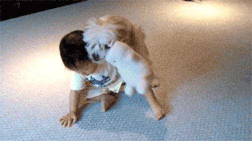 &#91;Jokes&#93;Colay itu Sehat gan? (With GIF- Bandwith Killer)