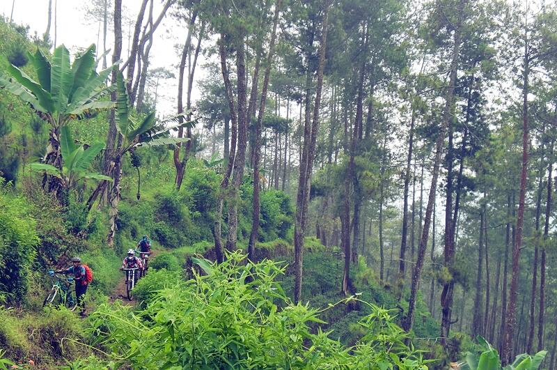 KOSKAS MALANG - ride & share