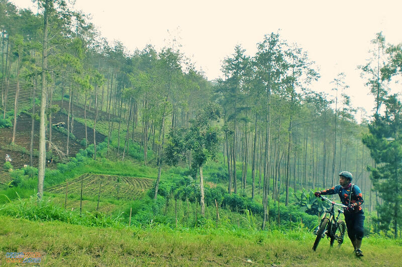 KOSKAS MALANG - ride & share
