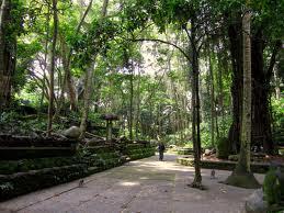 &#91;RUSH ADVENTURE&#93; Menjelajahi Budaya Dan Keindahan Pulau Dewata Bali