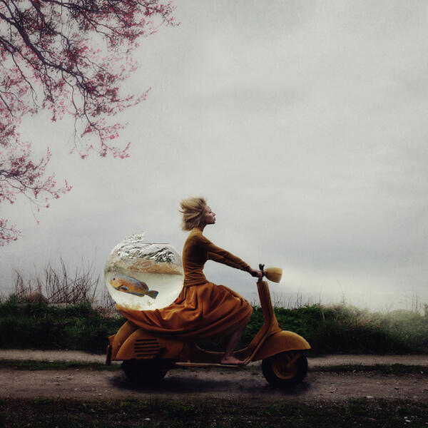Inilah Para Pemenang Kompetisi Terbuka Sony World Photography Awards 2014