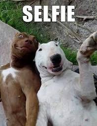 Manusia kgak bakal bisa selfie kek gini gan !