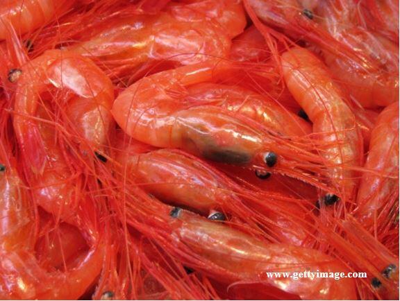 (IDE USAHA) TARGET EKSPOR UDANG INDONESIA 1,6 Juta TON !!