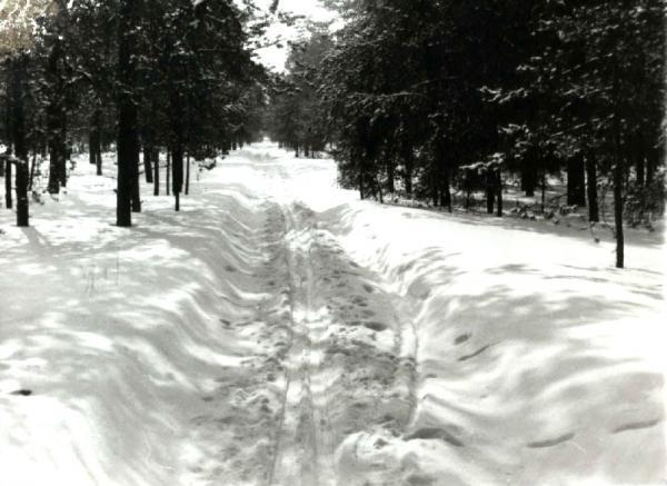 &#91;Flashback&#93; Foto kota Pripyat sebelum terkena bencana nuklir Chernobyl